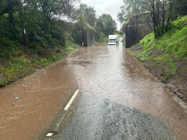 B4f5669a 7e8f 4512 9a40 9fc69177e733