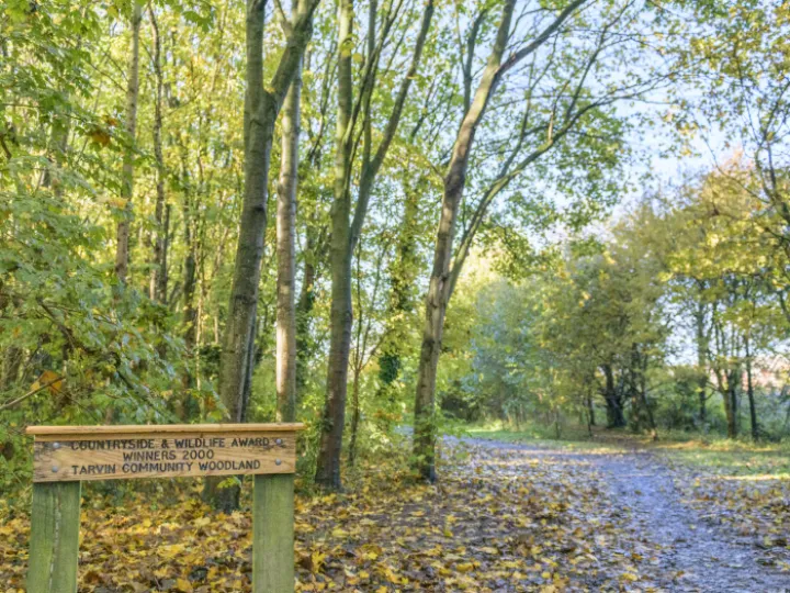 Image: 20231111 115250 01