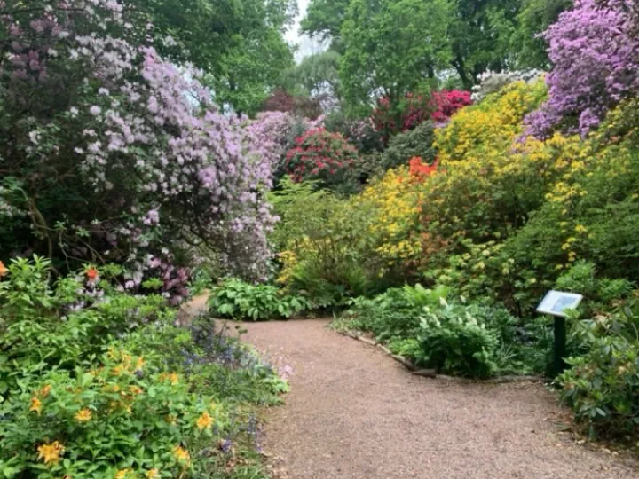 Dorothy Clive Gardens