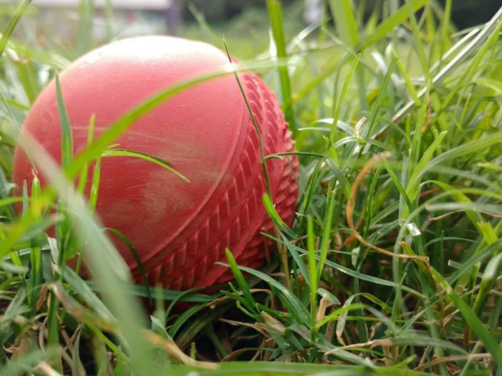 Cricket, ball, grass