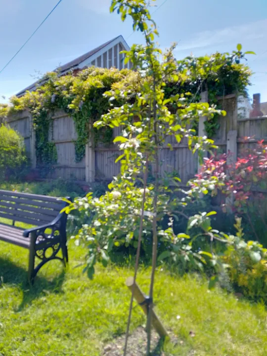 Img_20240525_122513_hdr