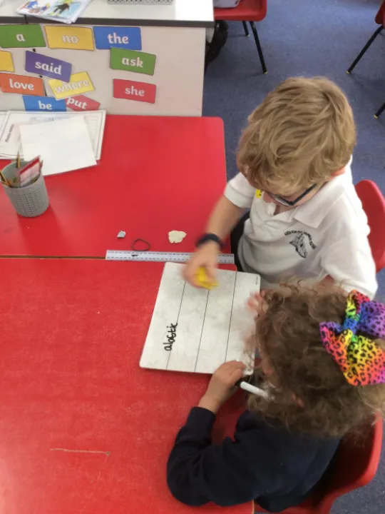 Y1 Science 1