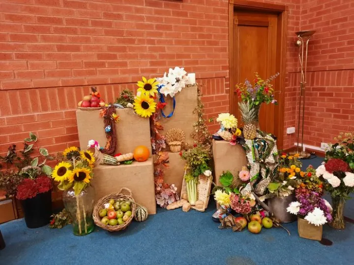 Tmc Harvest 20241006_105147