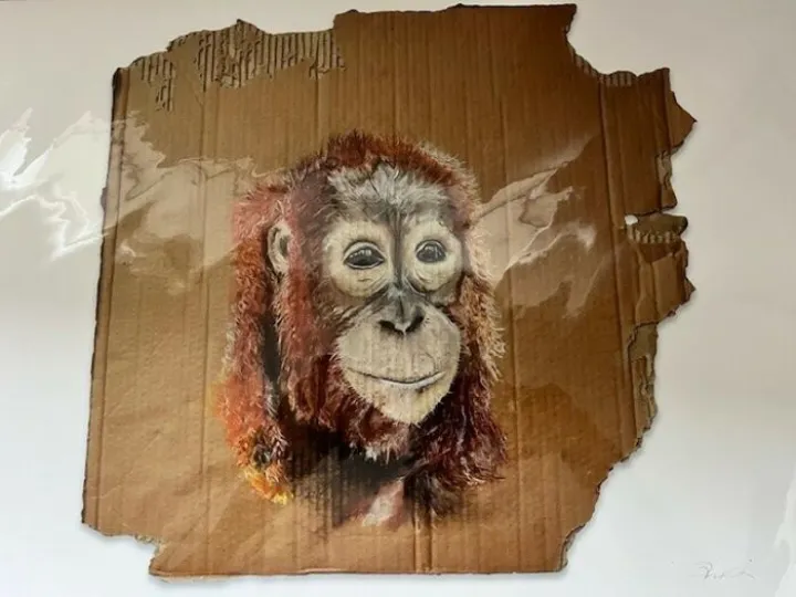 orangutane