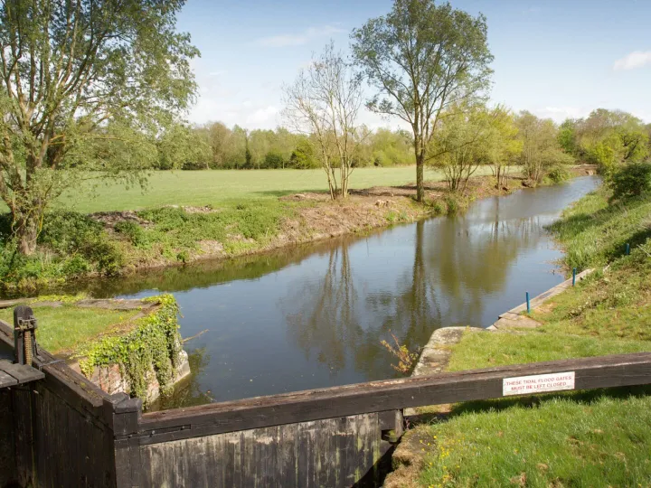 Overview of a canal branching with green fields around