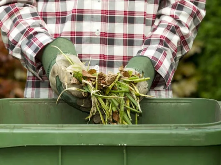 Garden waste