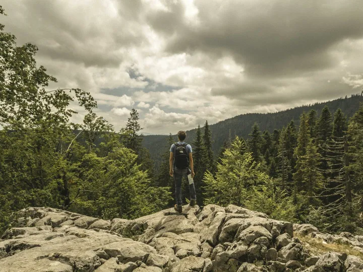 Explore the rugged beauty of forested mountains with this inspiring hiking scene, perfect for travel and outdoor enthusiasts.