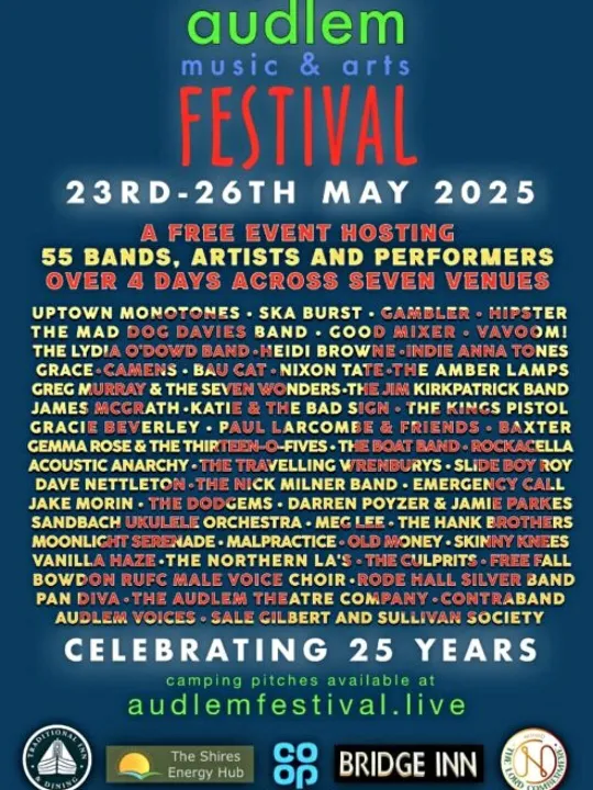 Music and Arts festival 3