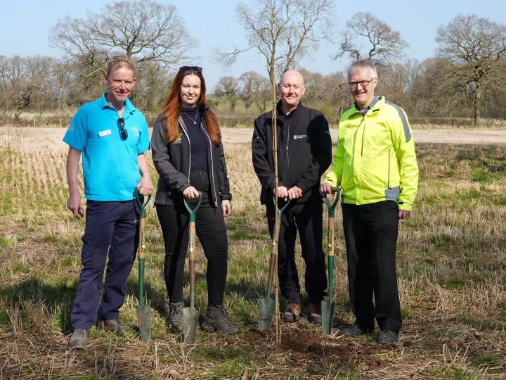 Endangered Trees Rehoming