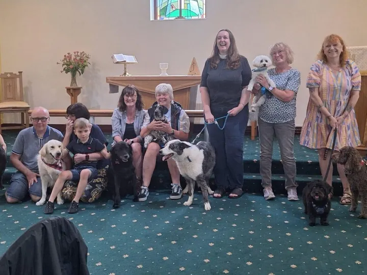 Trinity Gregson Lane Pet Service