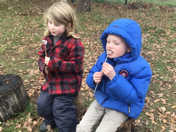 05259477-B7c1-4a1c-Bf08-60bb2d41105c