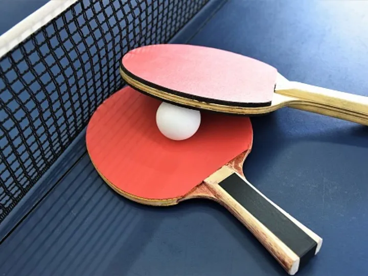 Table Tennis Pic 03