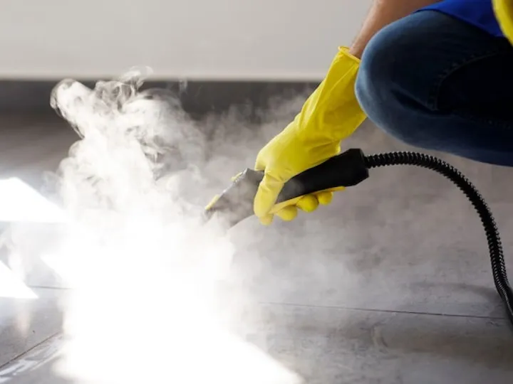 Professional cleaning service person using steam