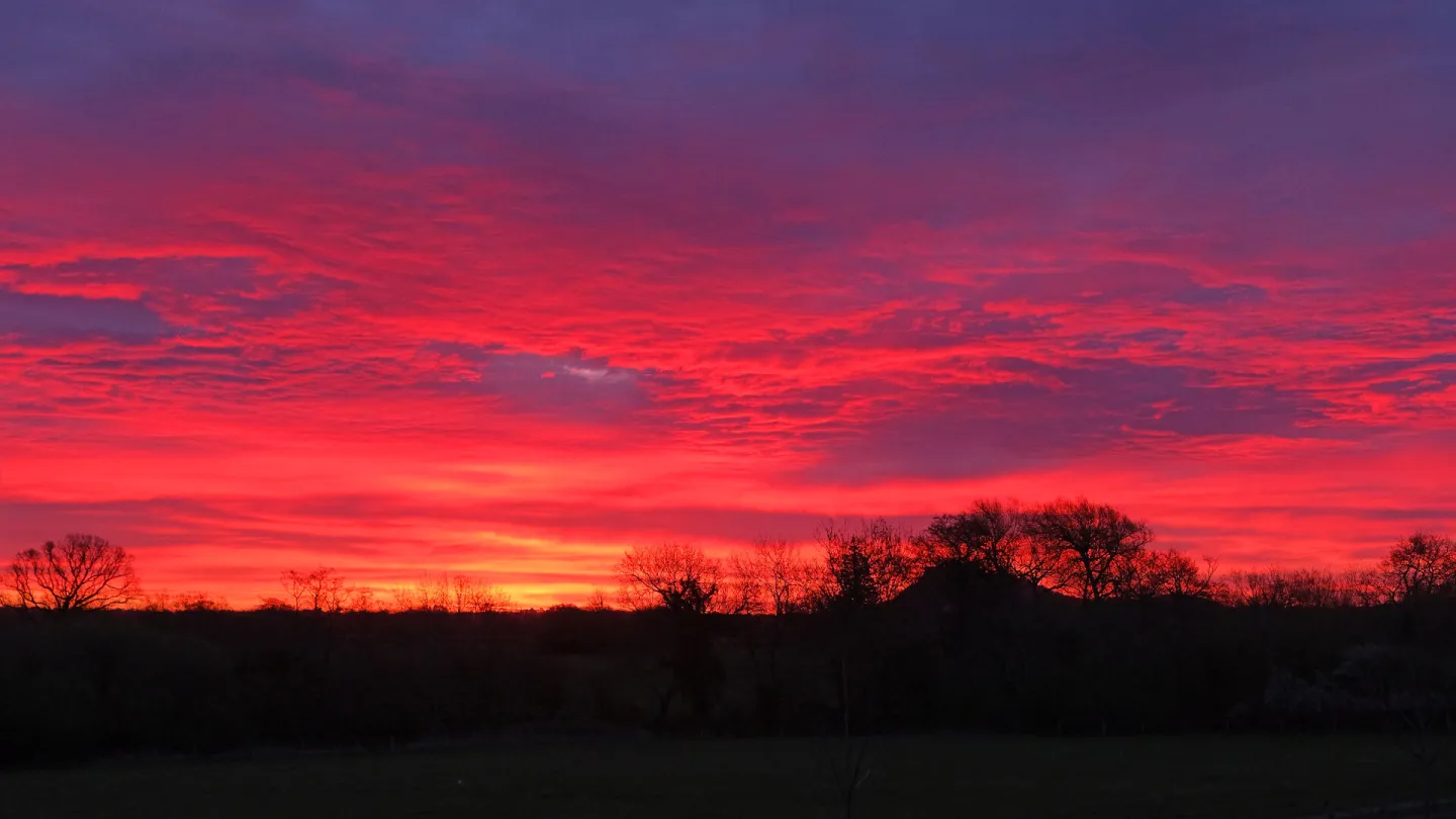 RR Shepherd's Warning F9184