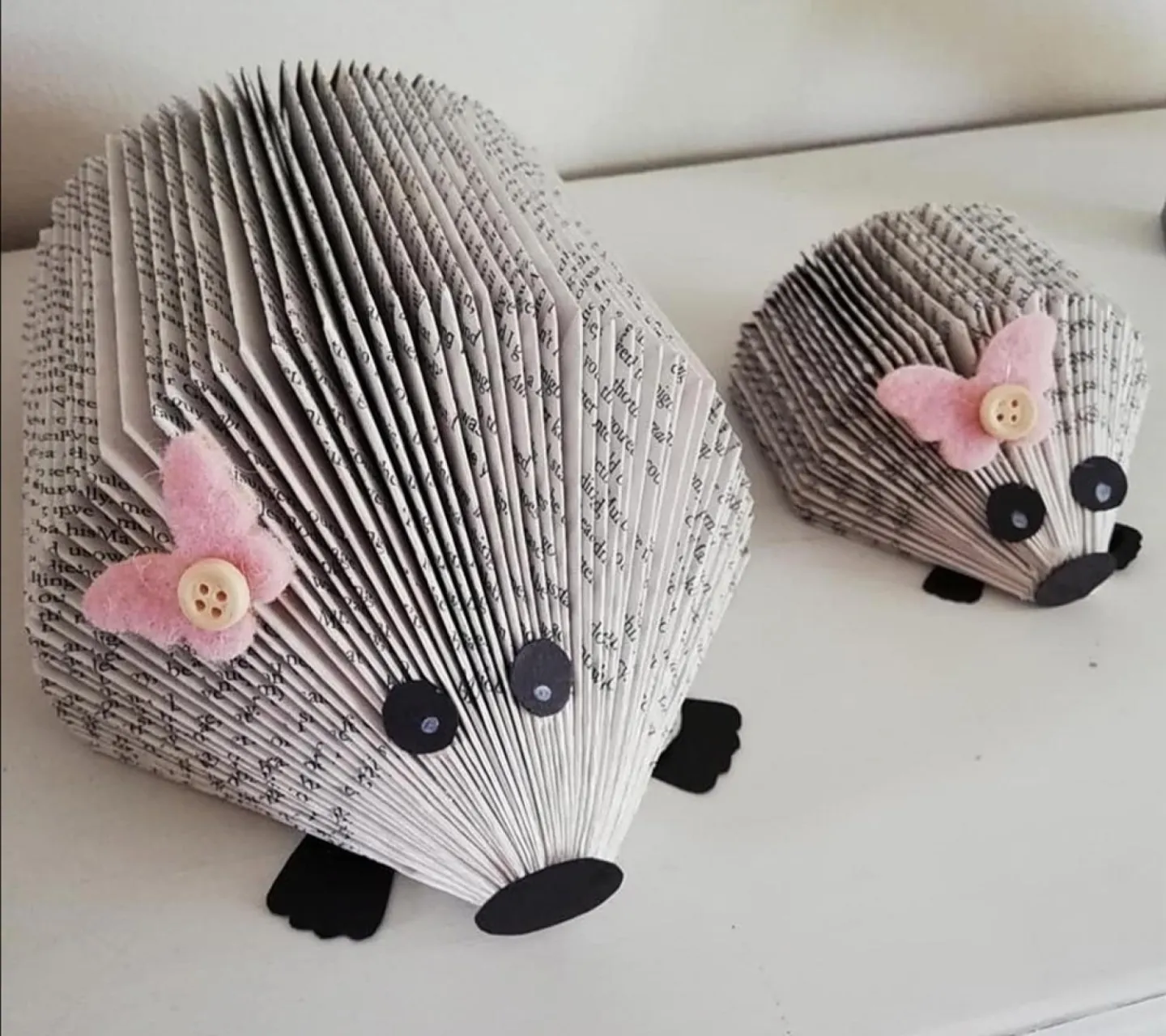 Hedgehogs