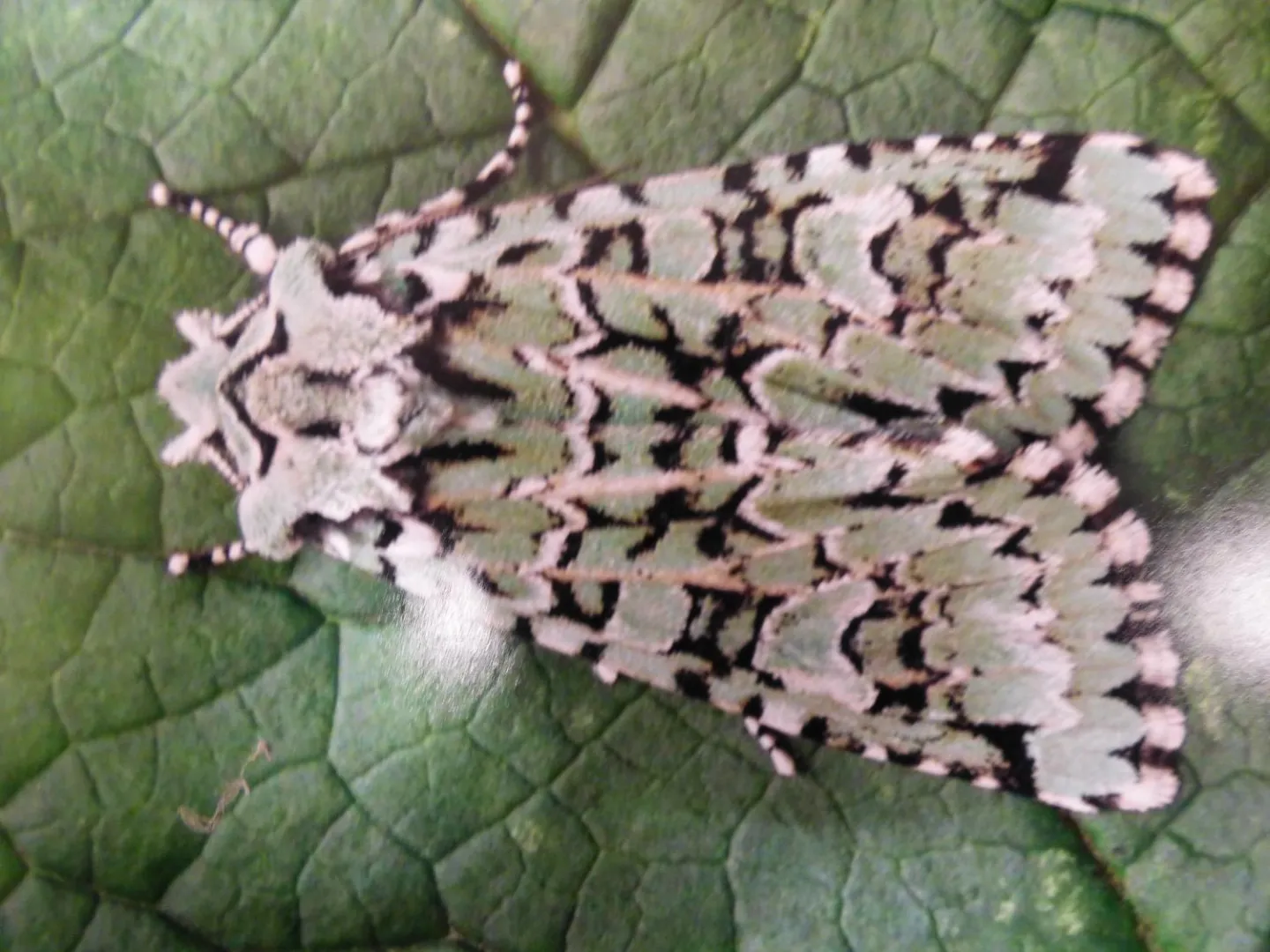 P1120443