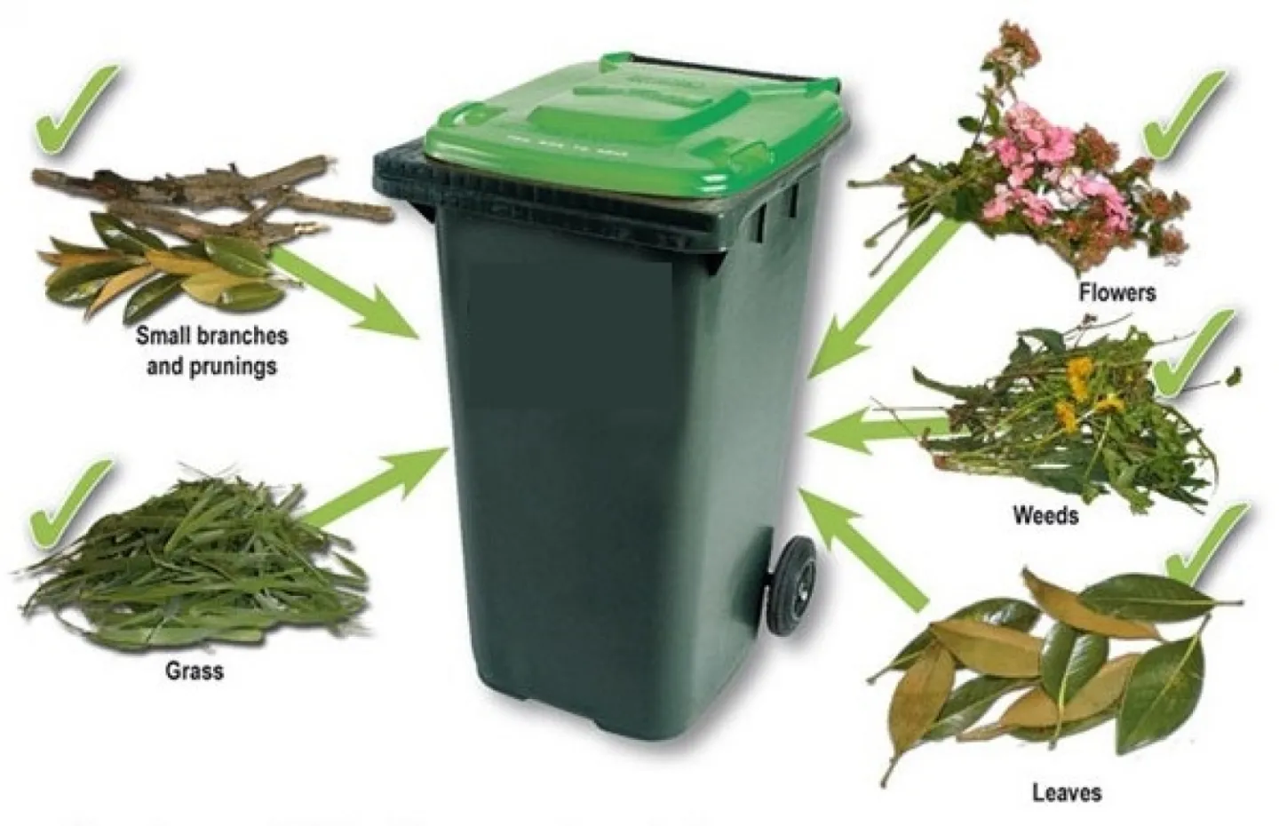 Green waste Bin