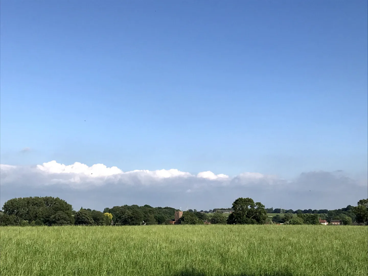Minshull summer