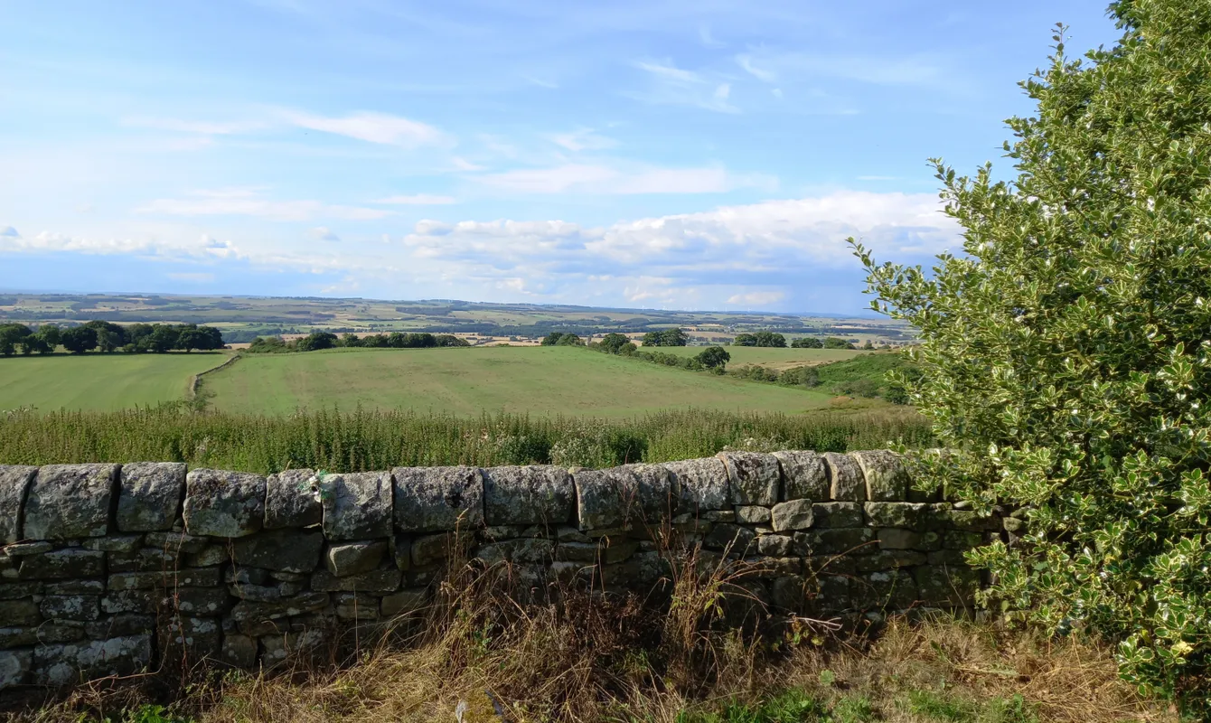 Heavenfield3