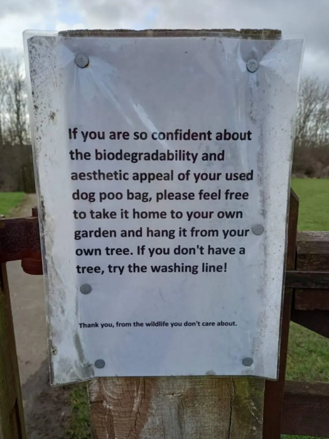 dog poo