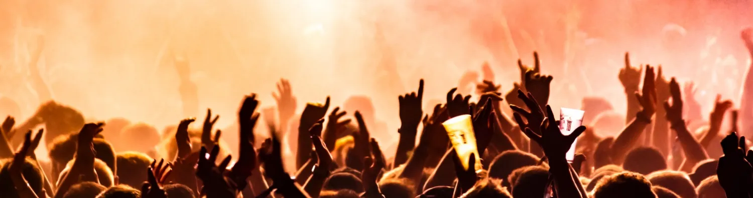 Concert Goers