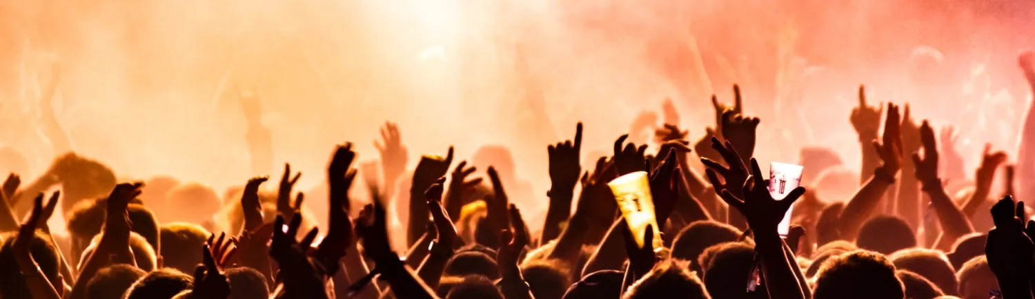 Concert Goers