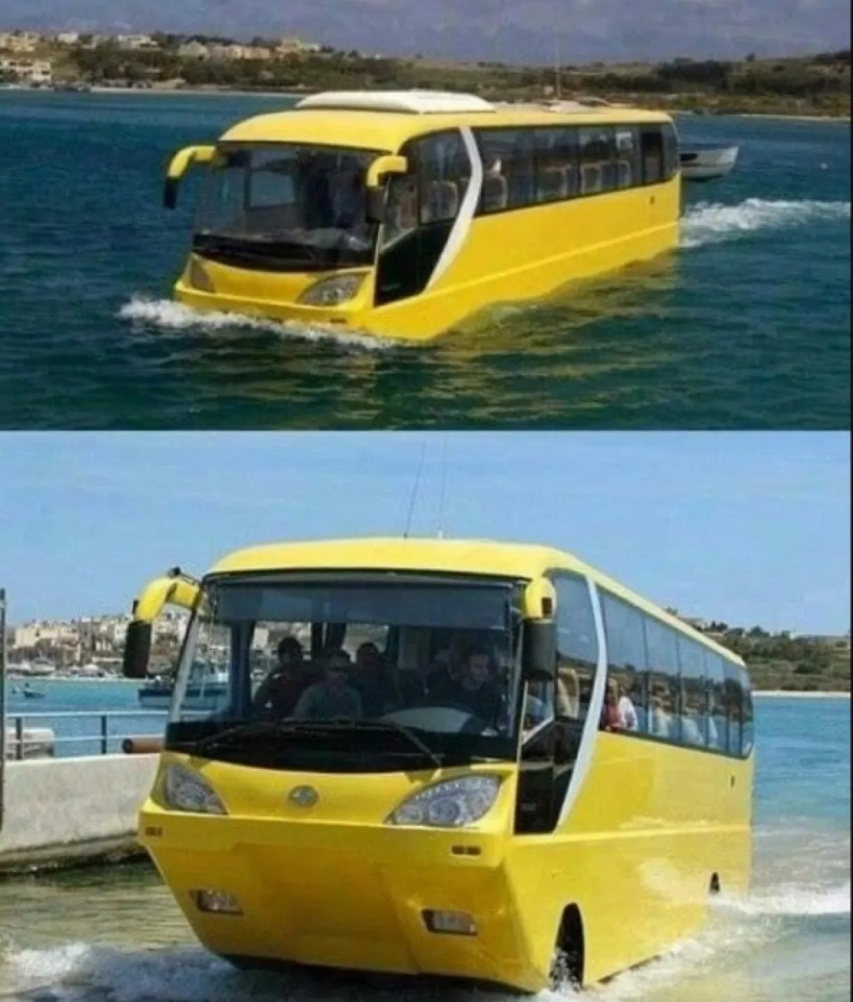 bus