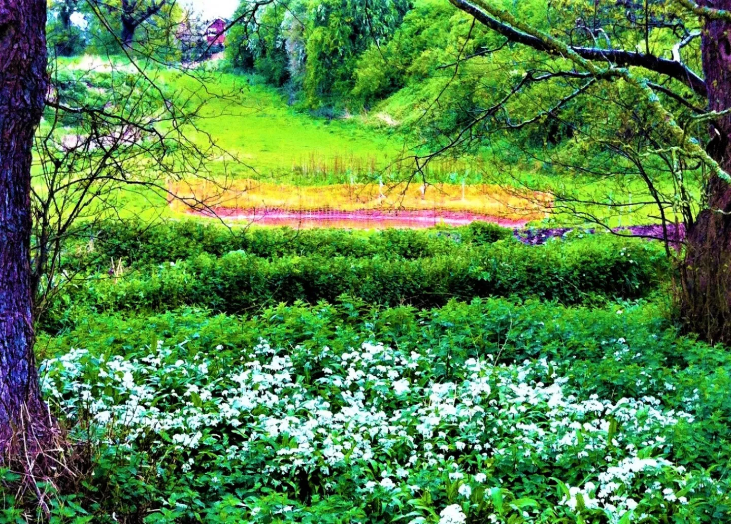 Spring1