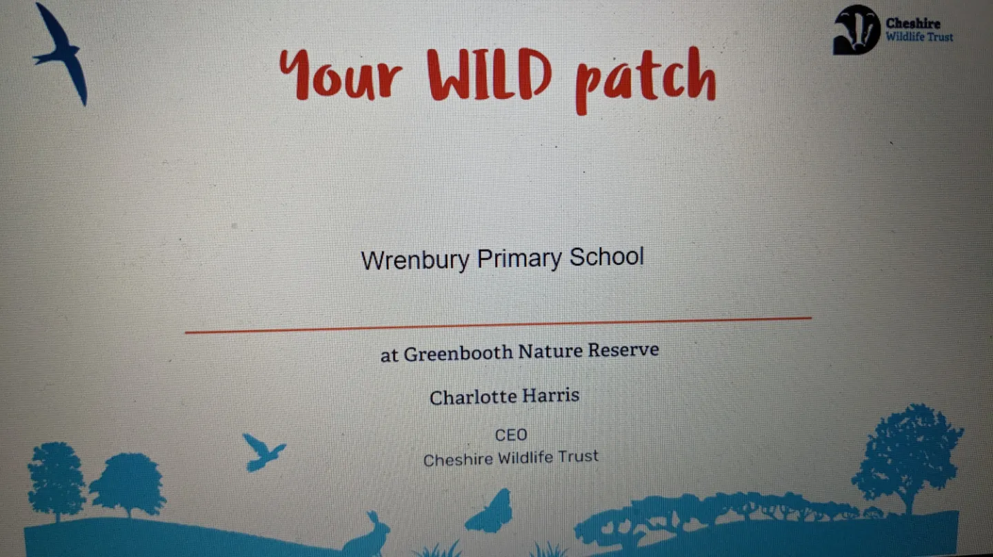 Our Wild Patch
