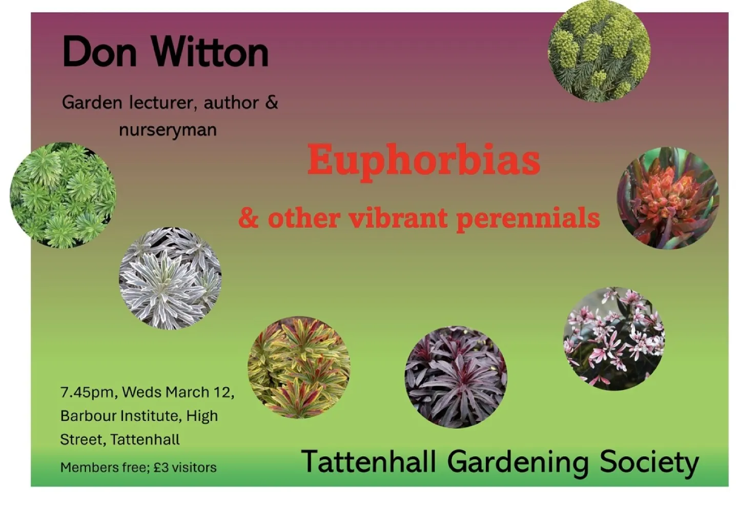 March 25 talk
