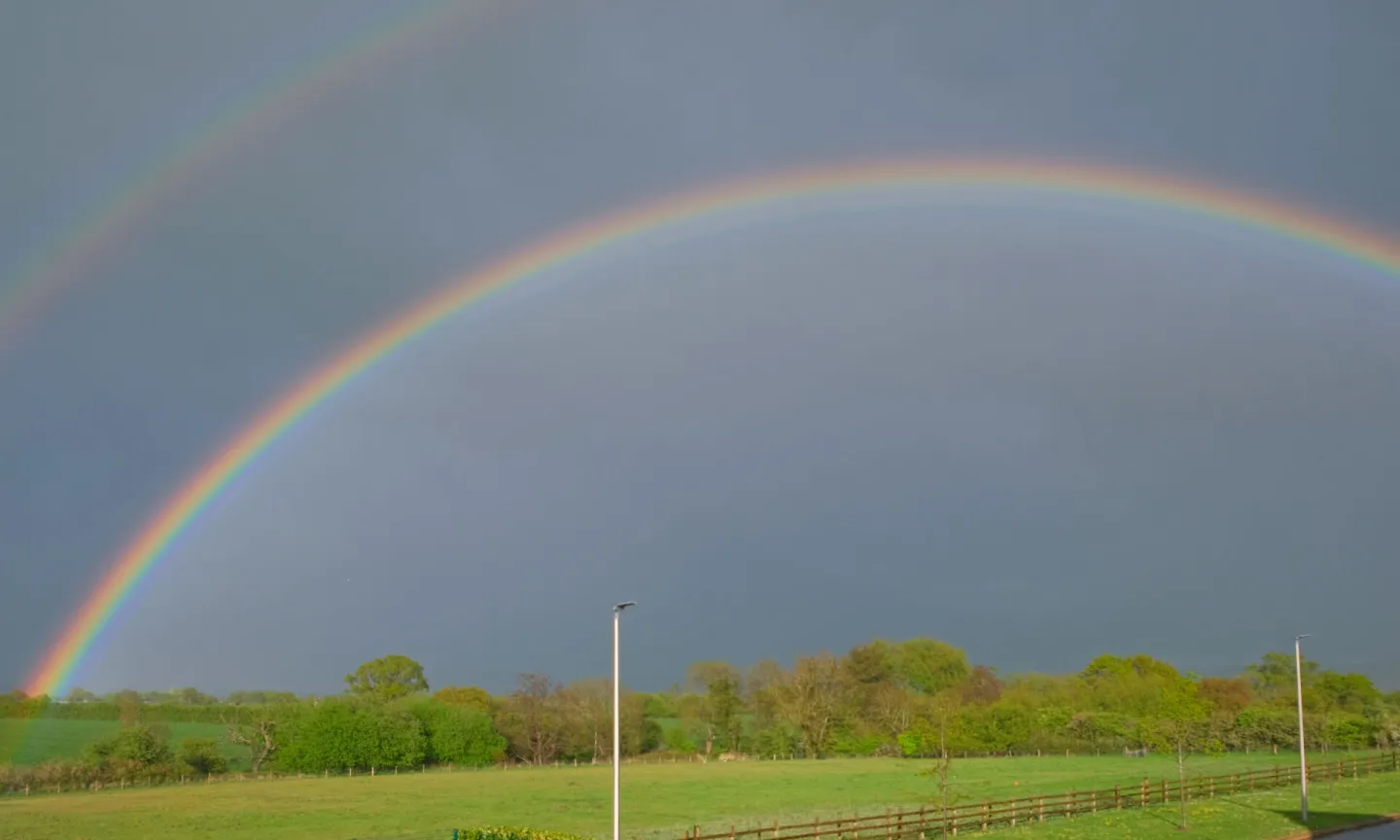 RR Rainbow F7125