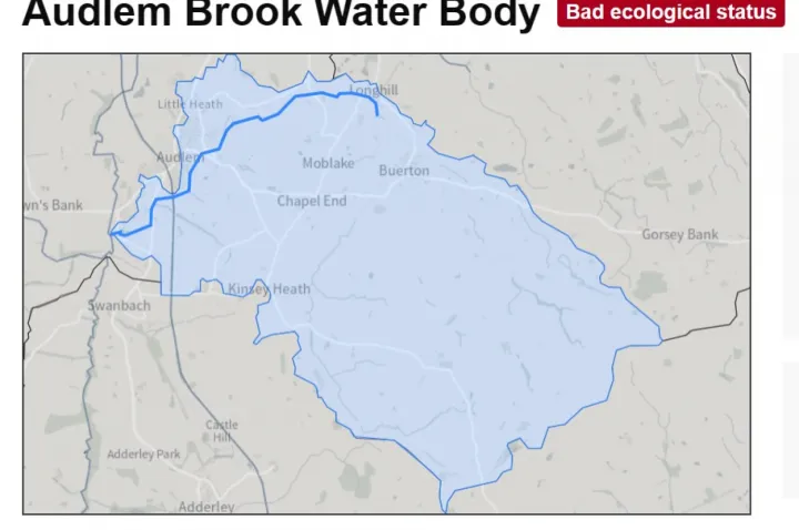 brook