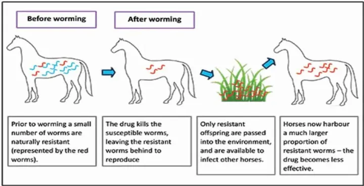 Resistance Testing