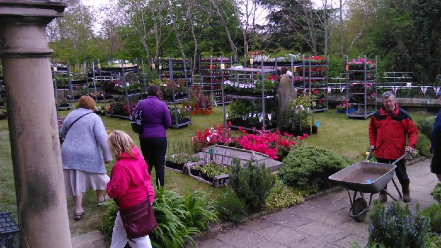 2015 Plant sale