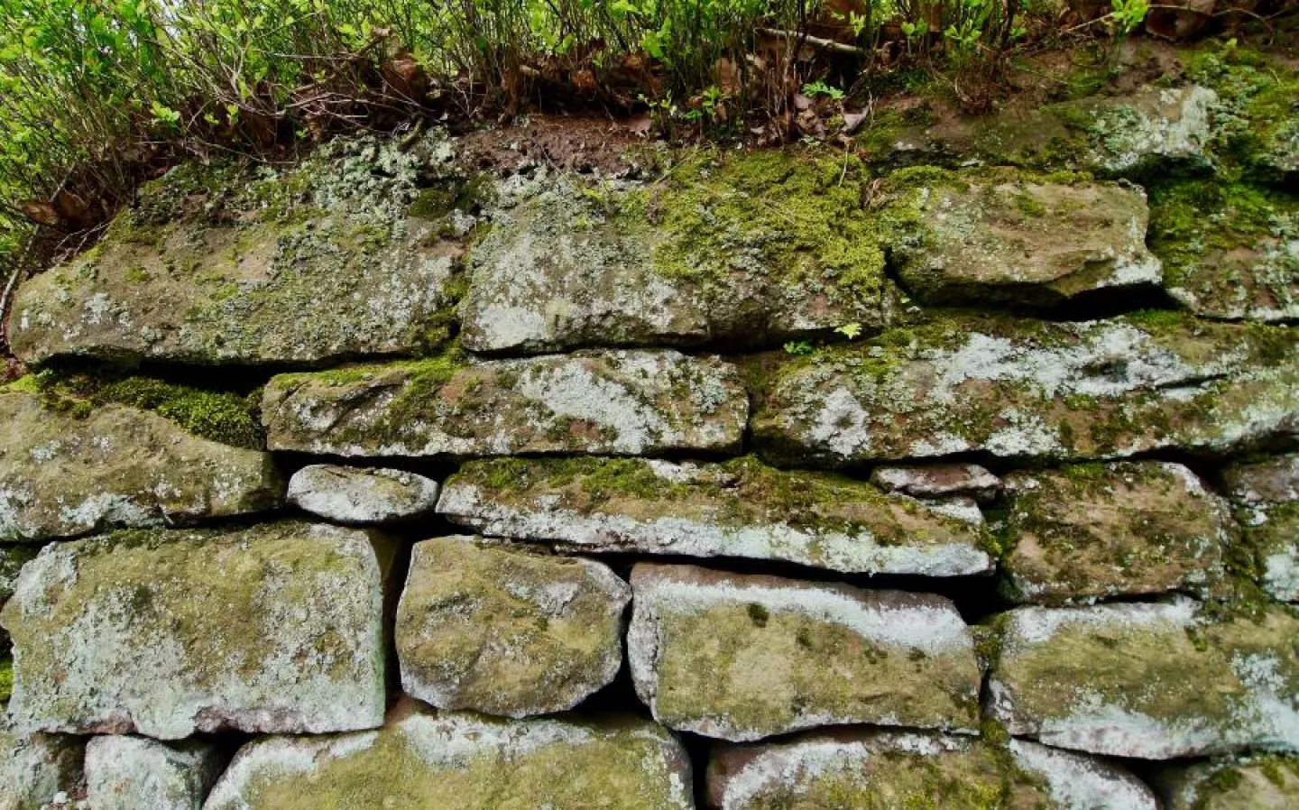 Sandstone wall in Peckforton Woods