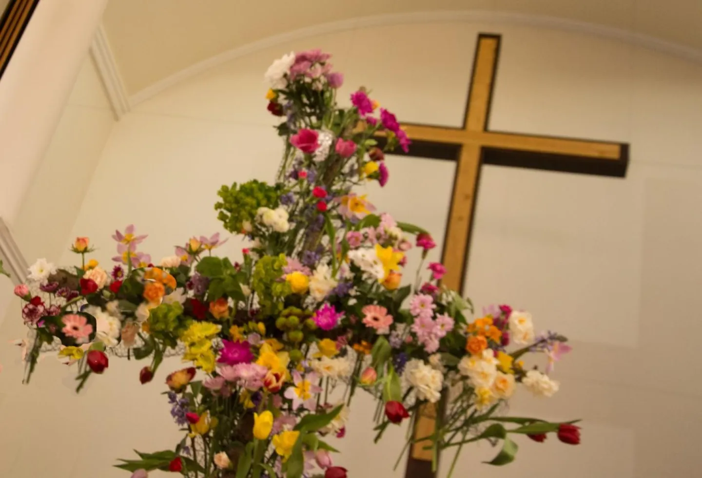 AMc Easter 2019 AK3