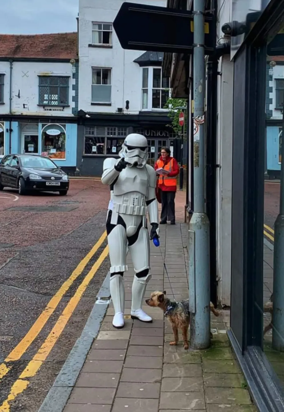 Dog Walking Gear