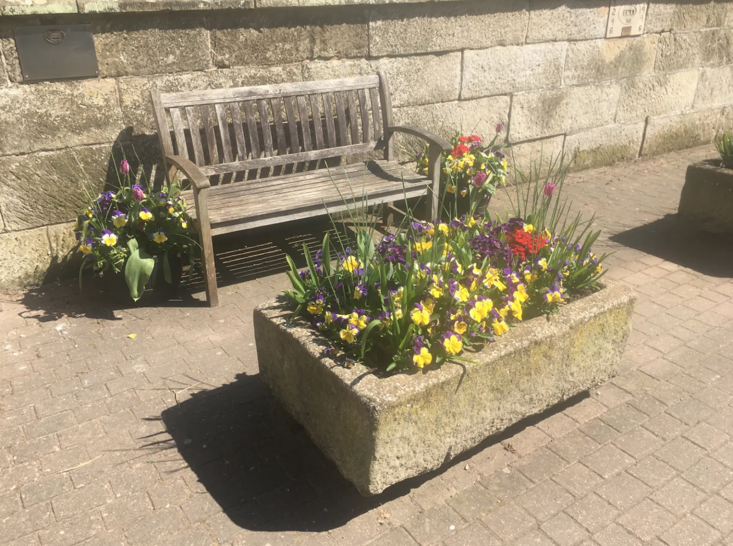 Spring Flowers by St. James