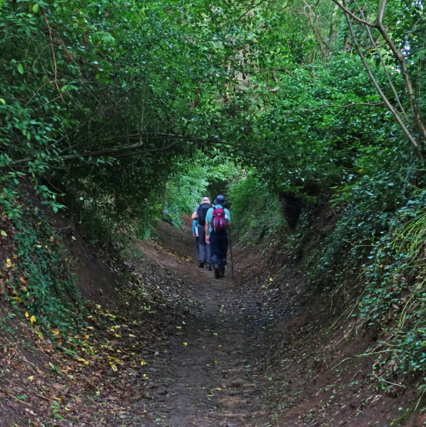 #Tunnel Vision_RRs00644