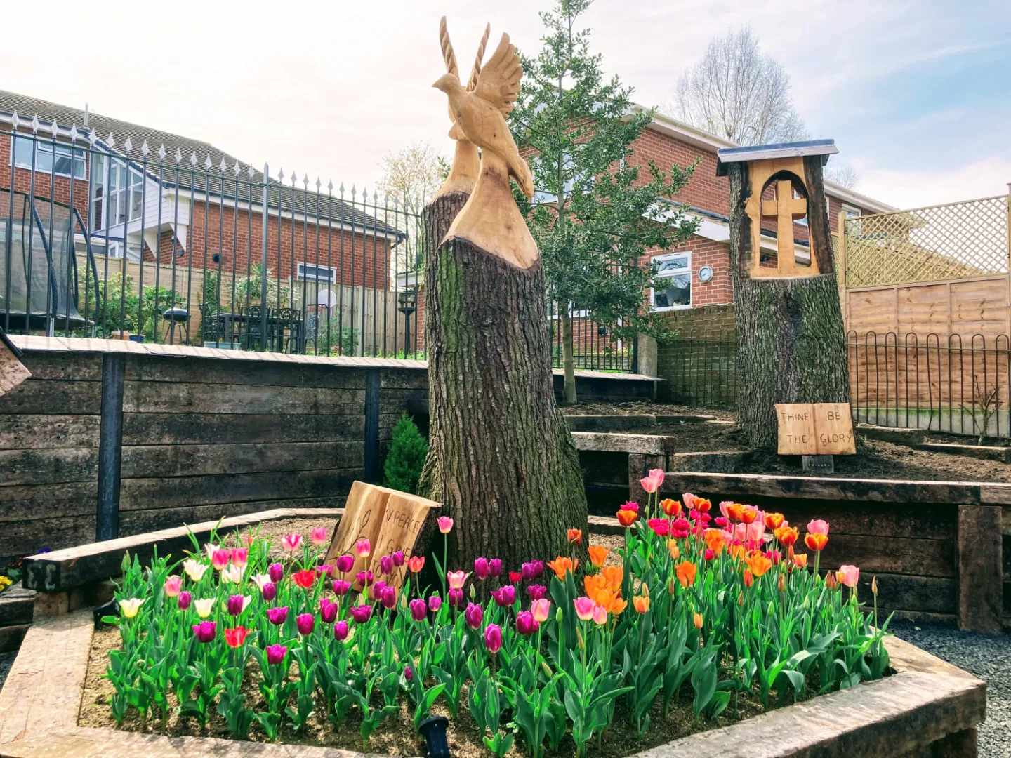 Tulips in the garden in April
