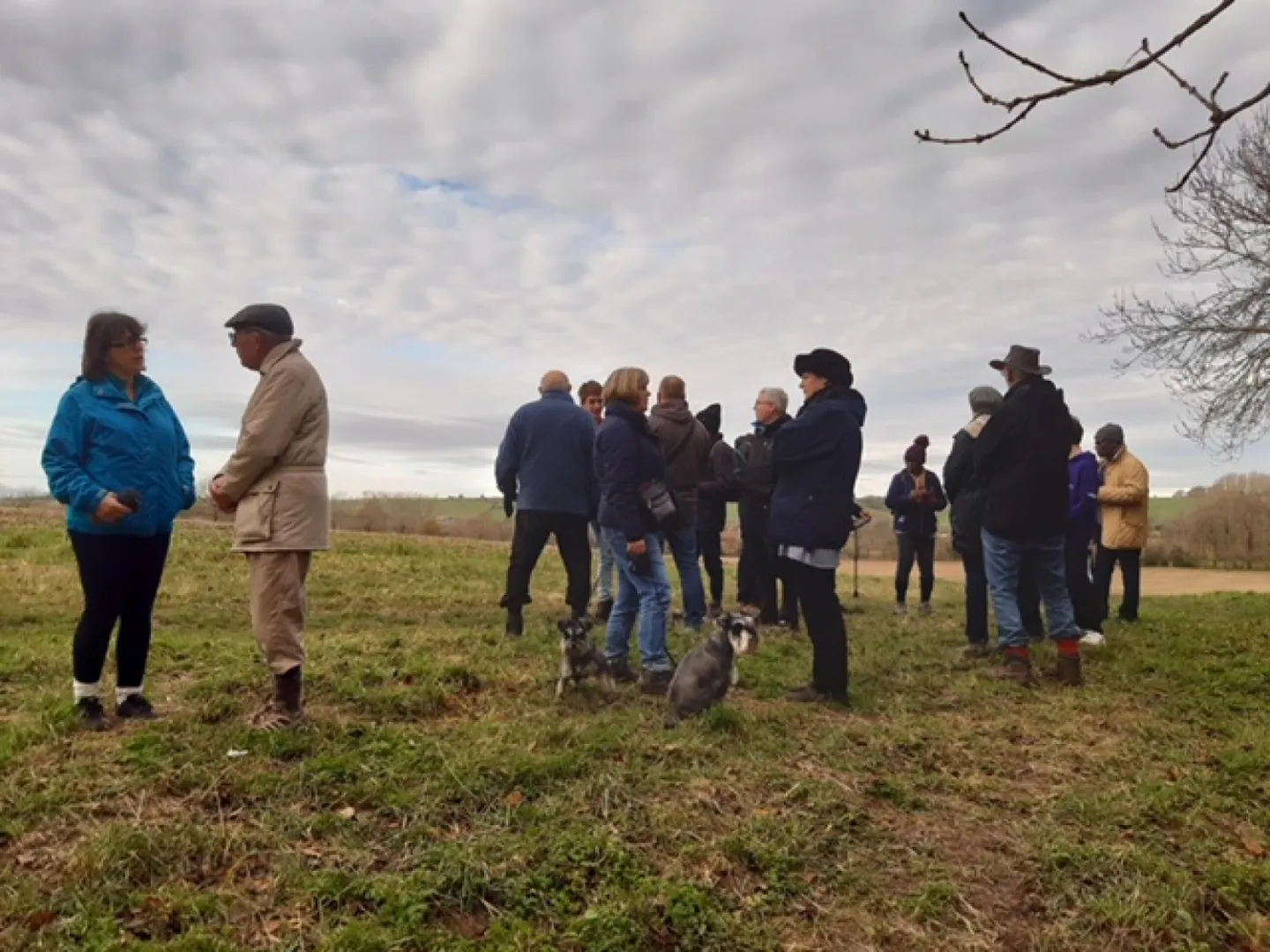 AMC Walk 2019 2