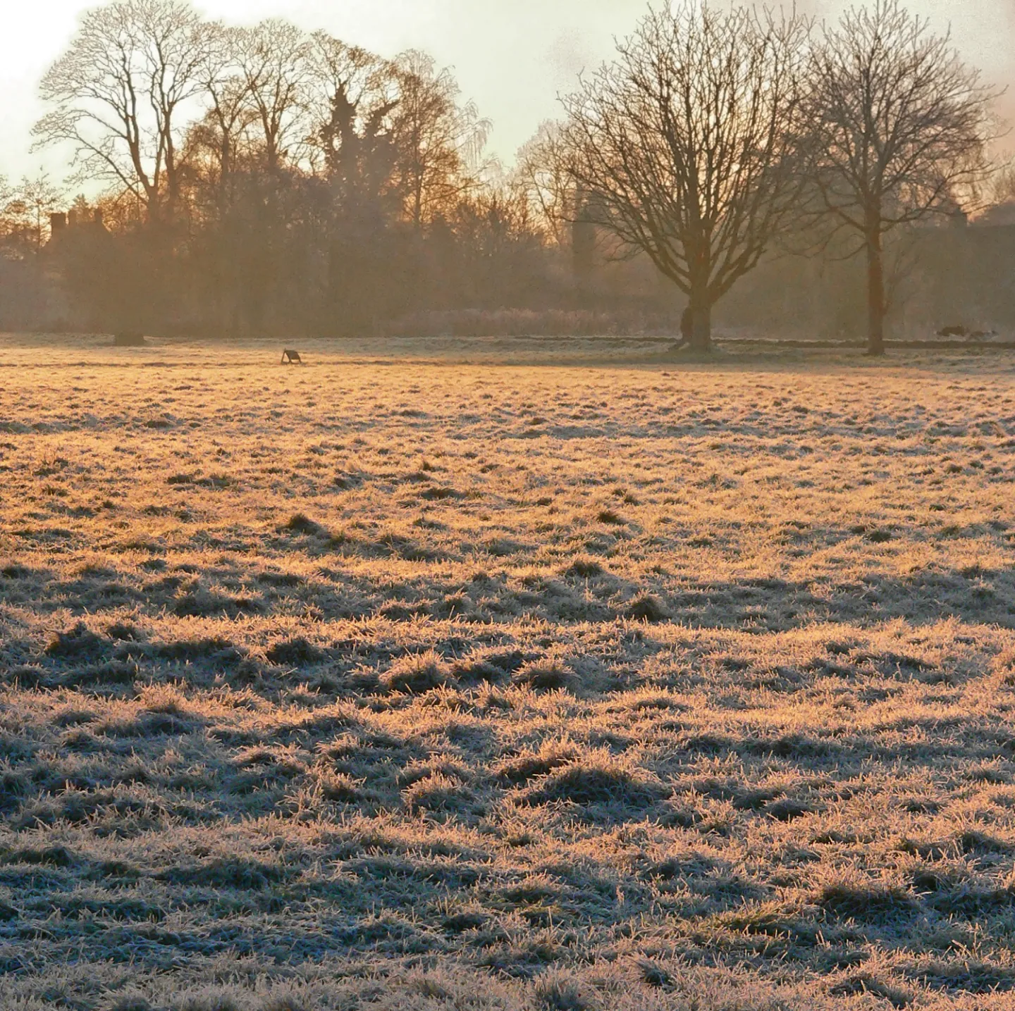 #At the end of the day_P1270076