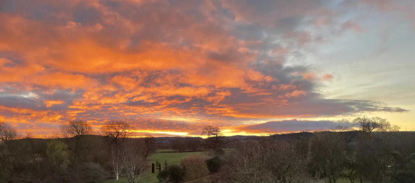 61F09EB6-EDD0-48CF-ADB4-9239366004F0