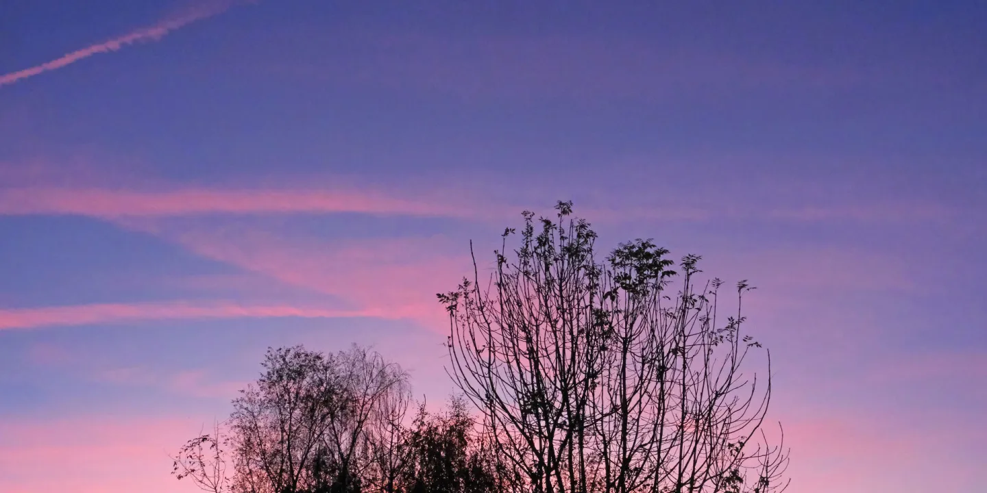 Tattenhall Sunset F6928