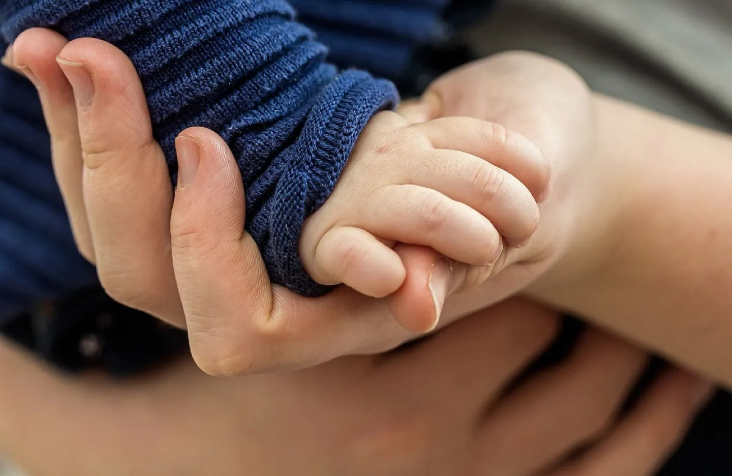 Toddler hand, child's hand, hand, trust, hands, closeness, affection, hold tight, security, keep, support, prop up, connection, contact, close, relationship, connect, together, love, connect competition, trust, trust, trust, trust, trust, security, se