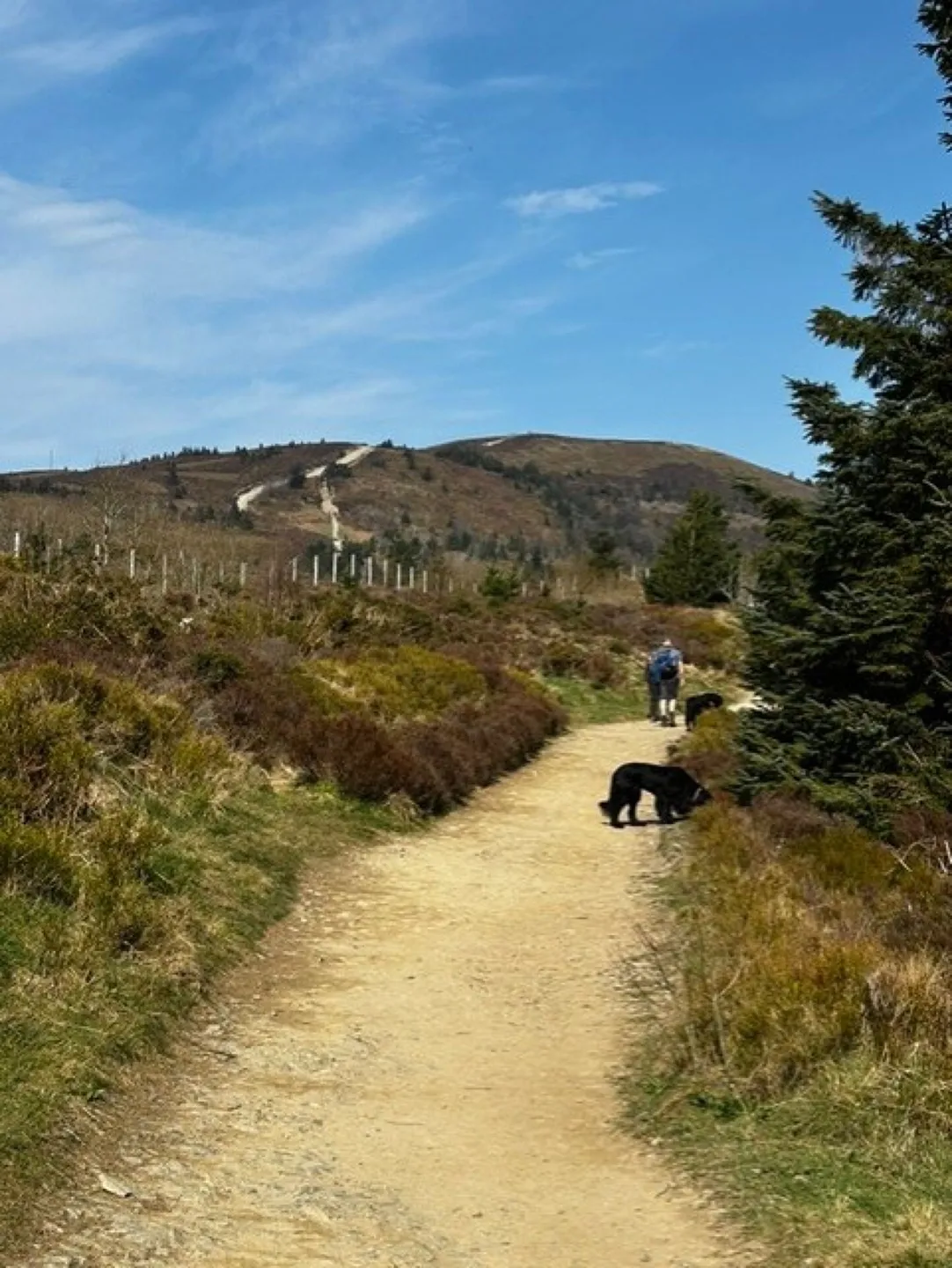 Ars Walk