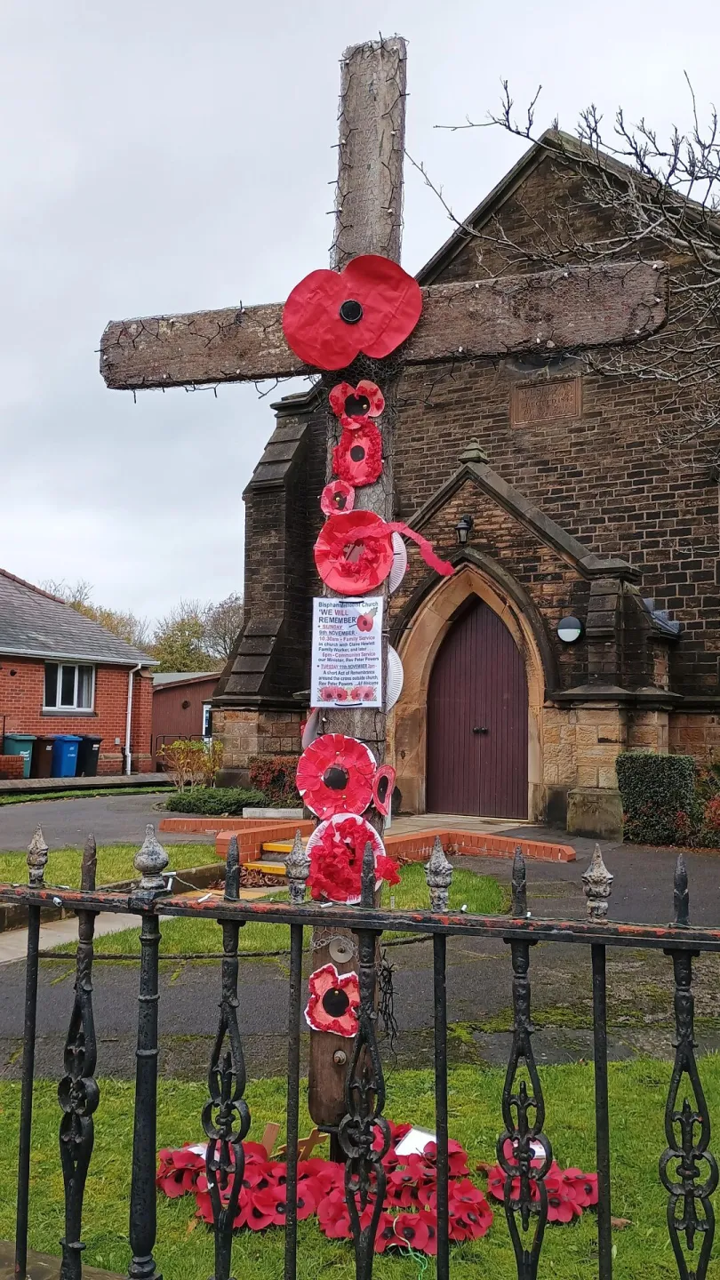 Bispham poppies 1