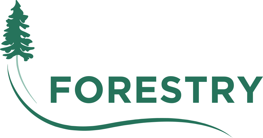 Cultura Connect Forestry Logo
