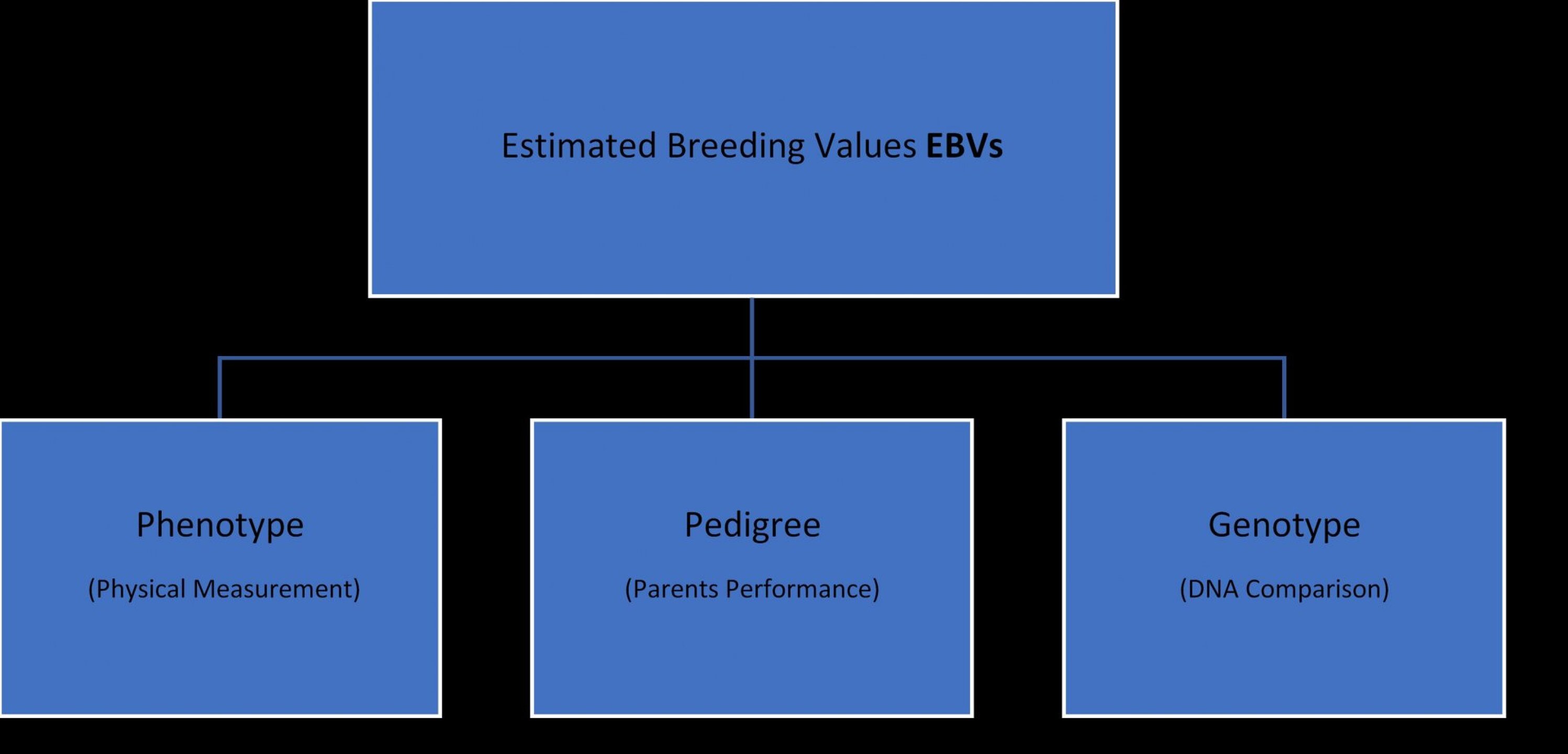 Phenotyping