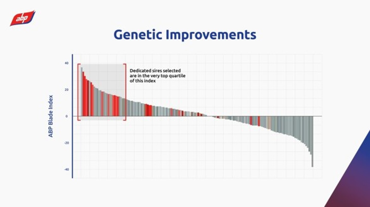 Figure 2 Blade Farming Genetic Improvements